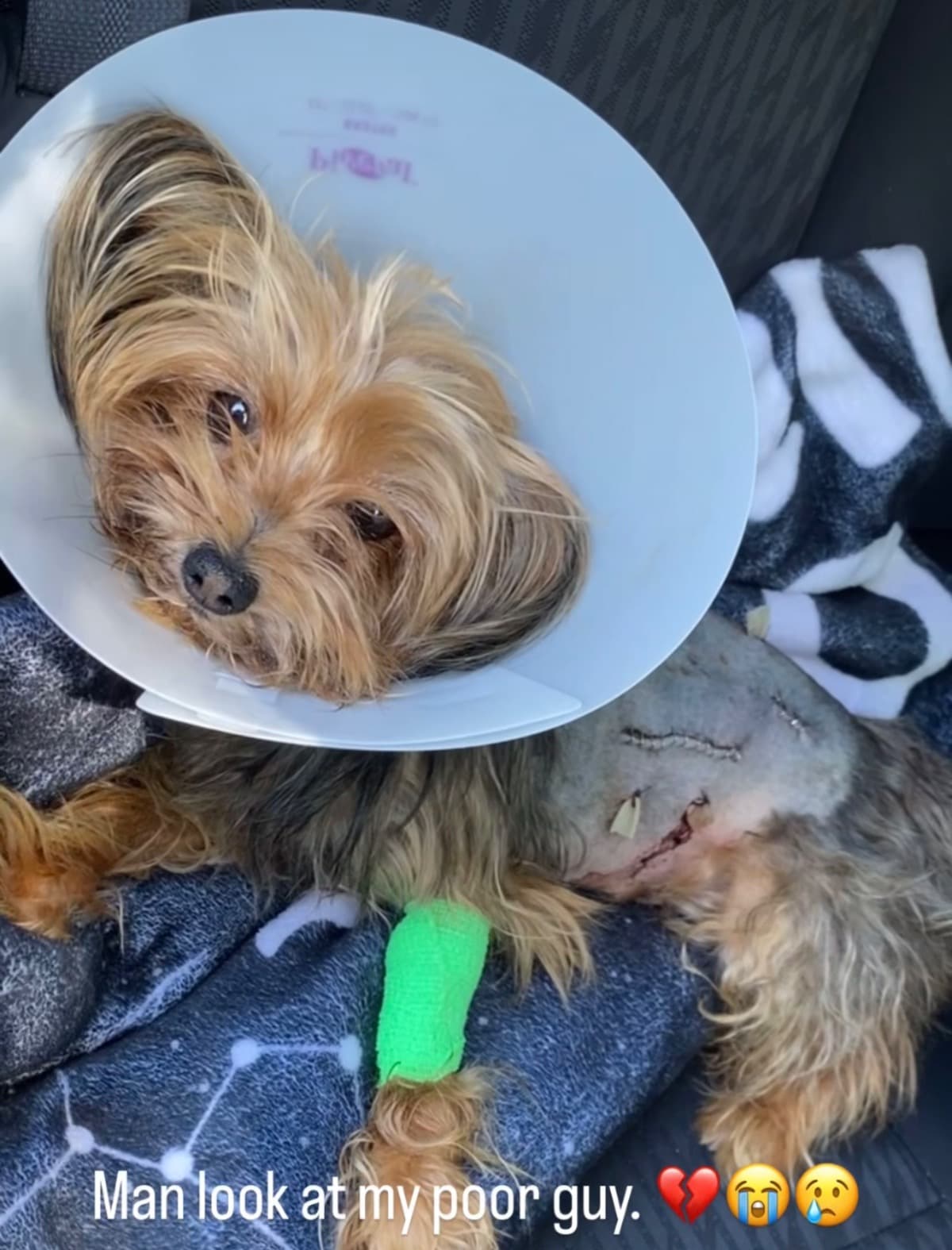 HelpMyLittleChampRecover