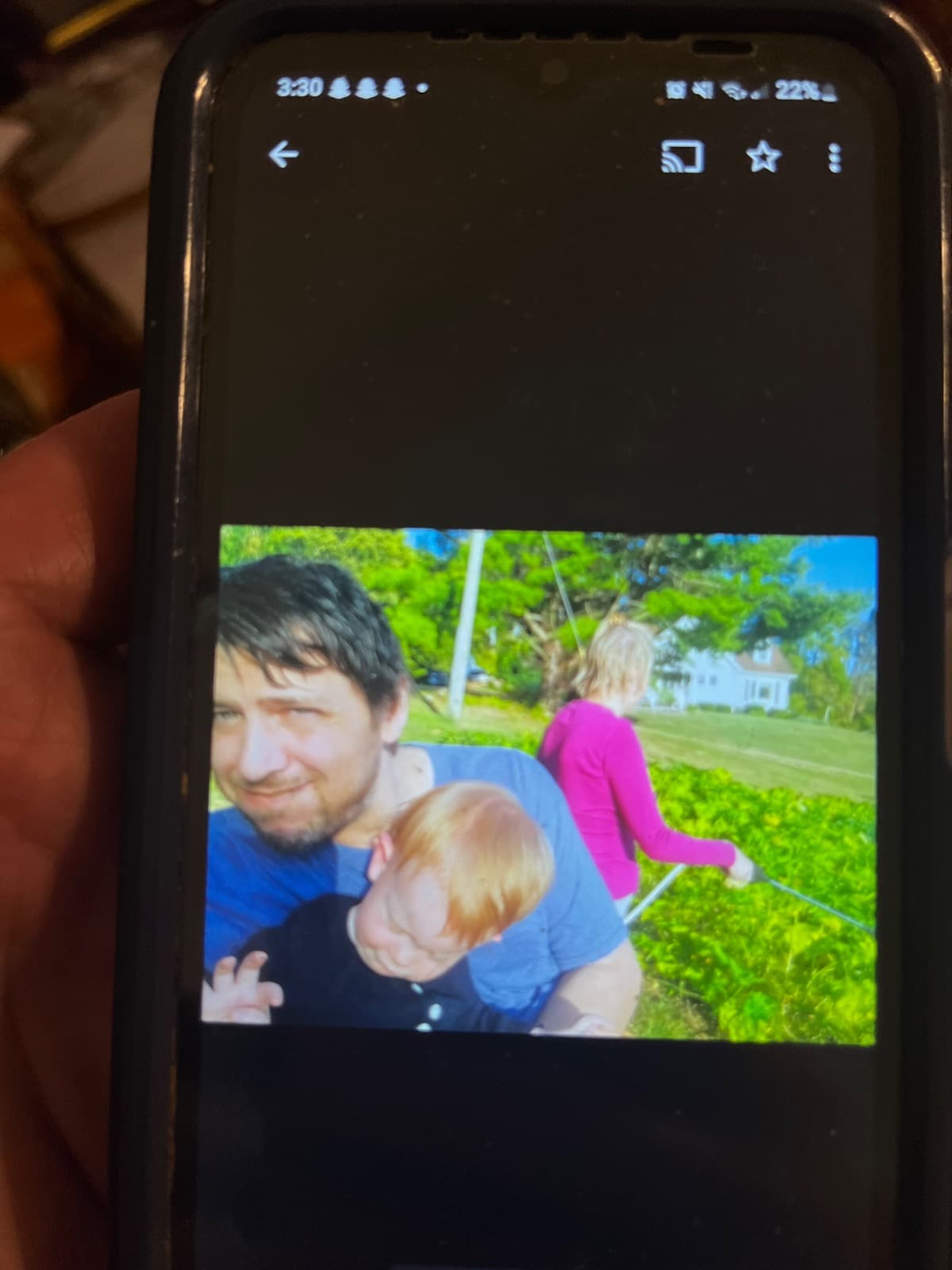 ButterflyHabitatOfLove