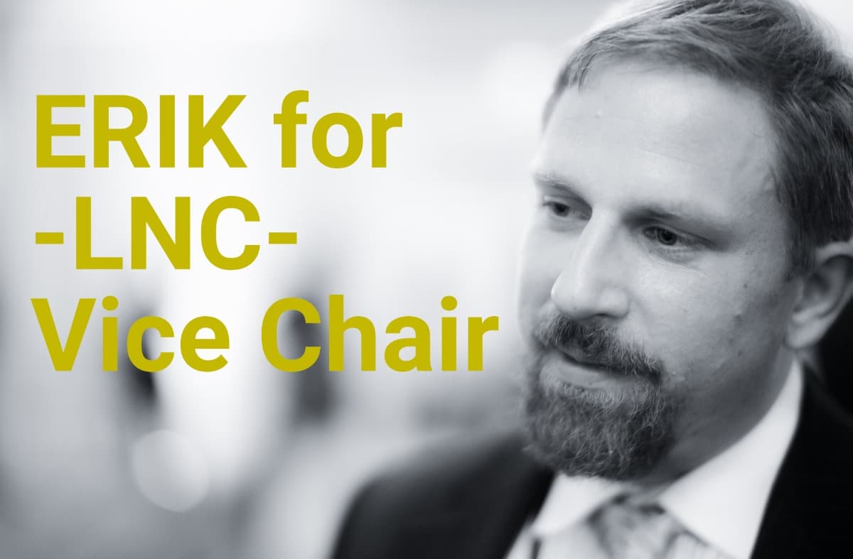 ErikRaudsepForLibertarianVC
