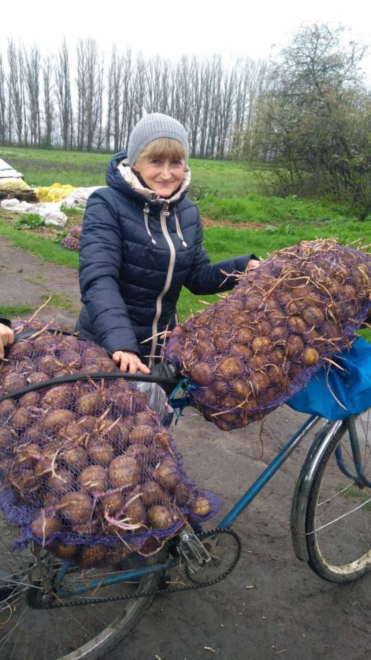 SeedPotatoesForUkraine