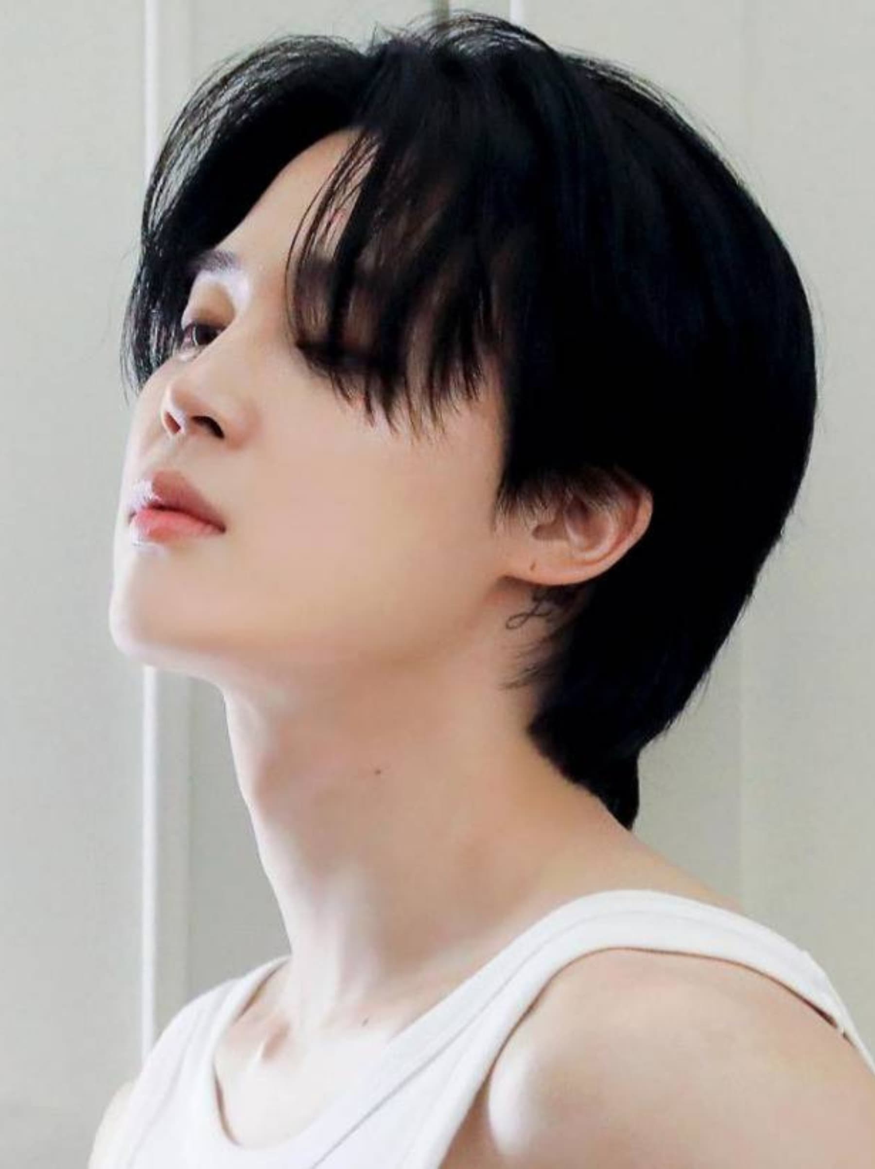 JIMINProjectSupport