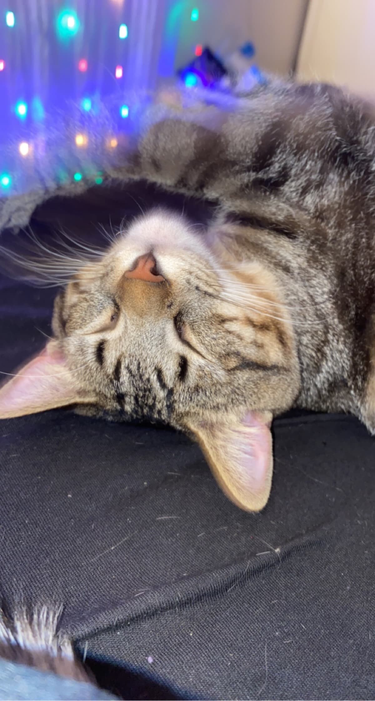 KeosLifeSavingSurgery