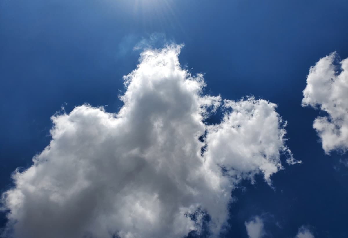 TransLeftTheUSAndNeedSupport