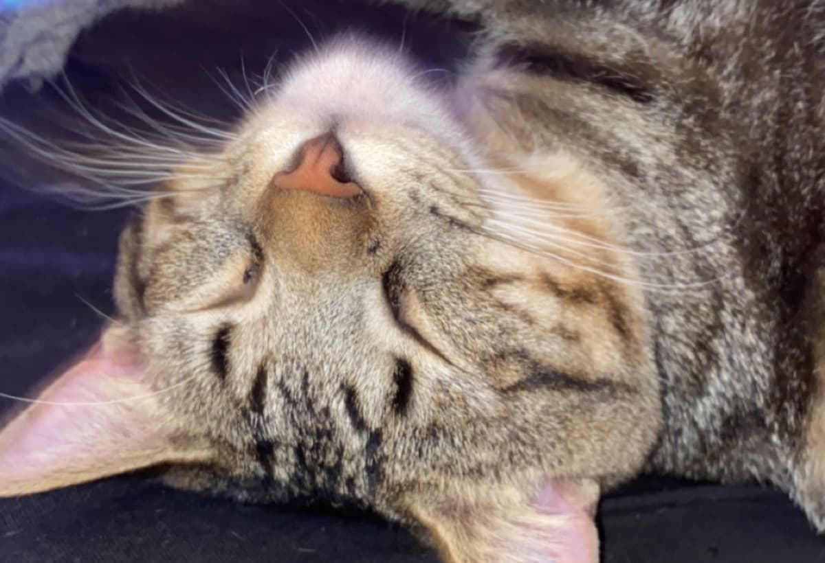 KeosLifeSavingSurgery