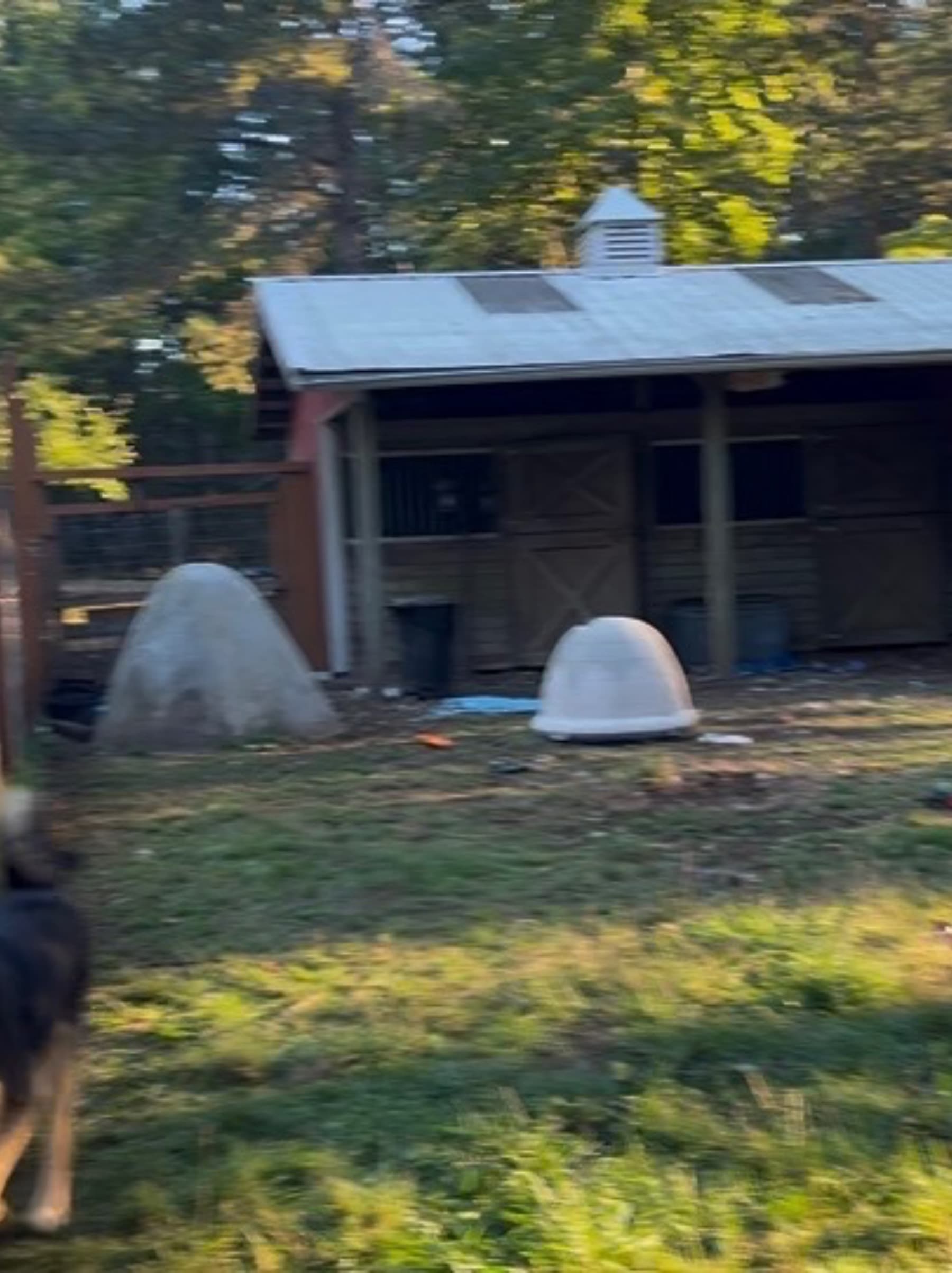 UpgradeKennels