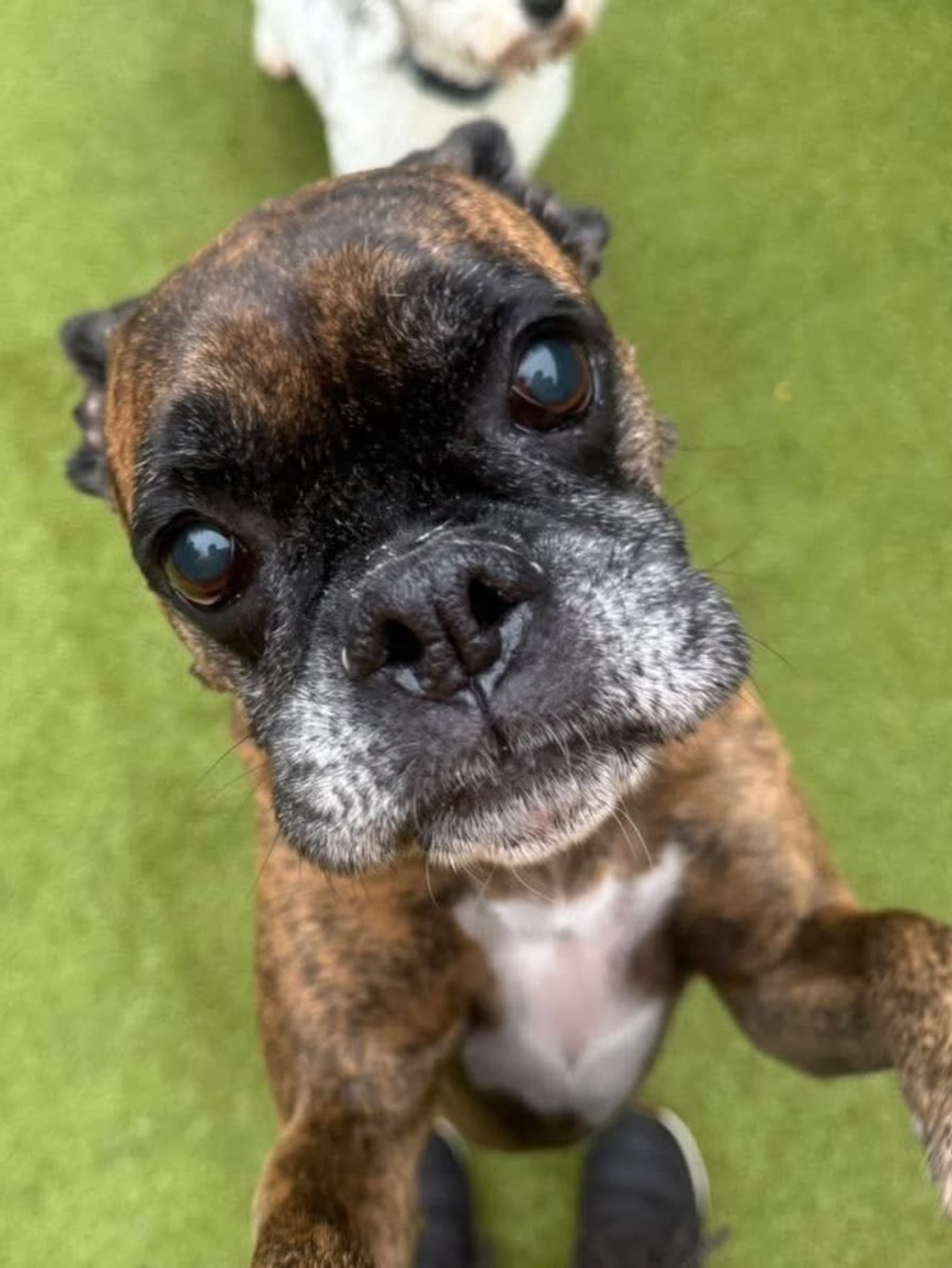 RubysMedicalProcedure