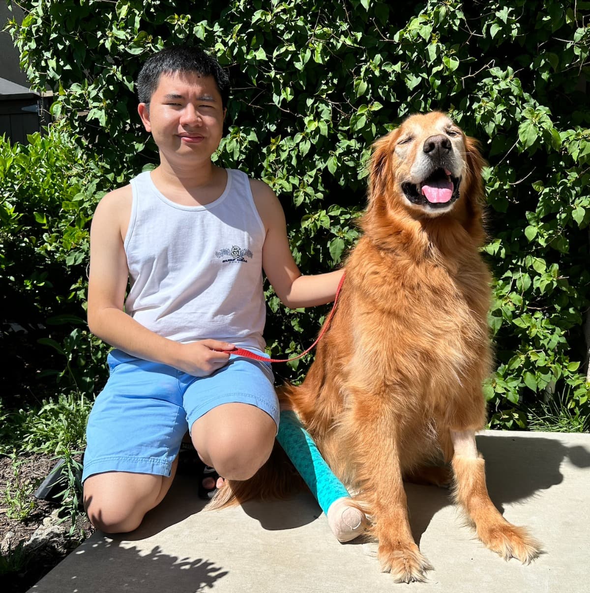 HelpingMyDogForALegSurgery