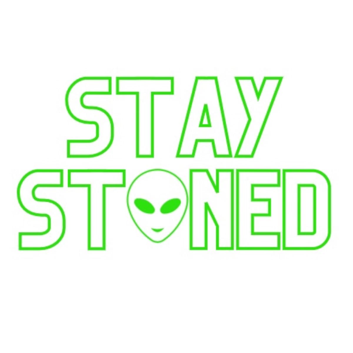 STAYSTNEDLLC