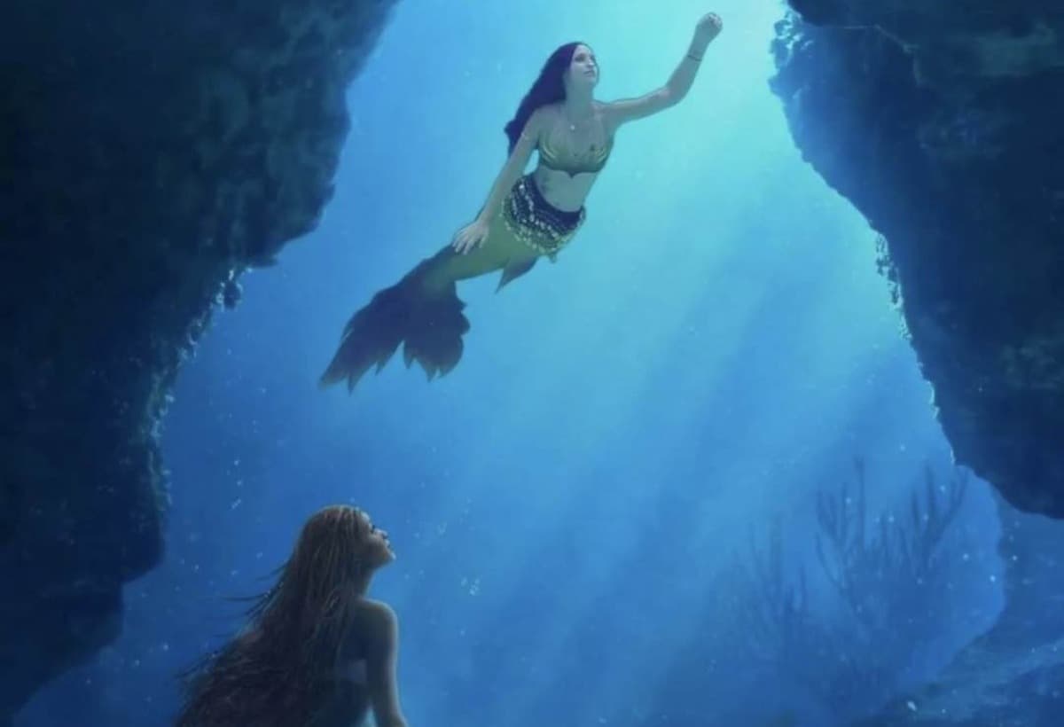 TheLittleMermaidLovesTheReef