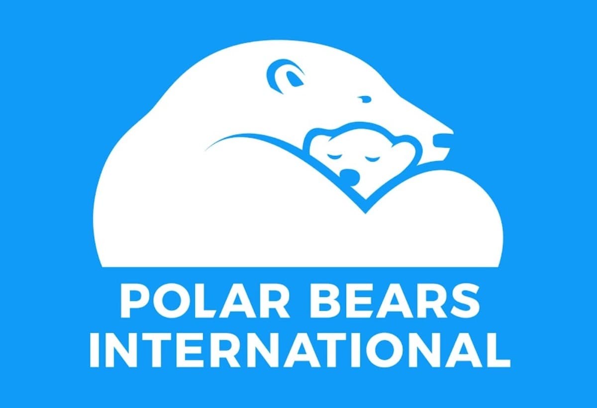 NorahBArcticPartyDonation