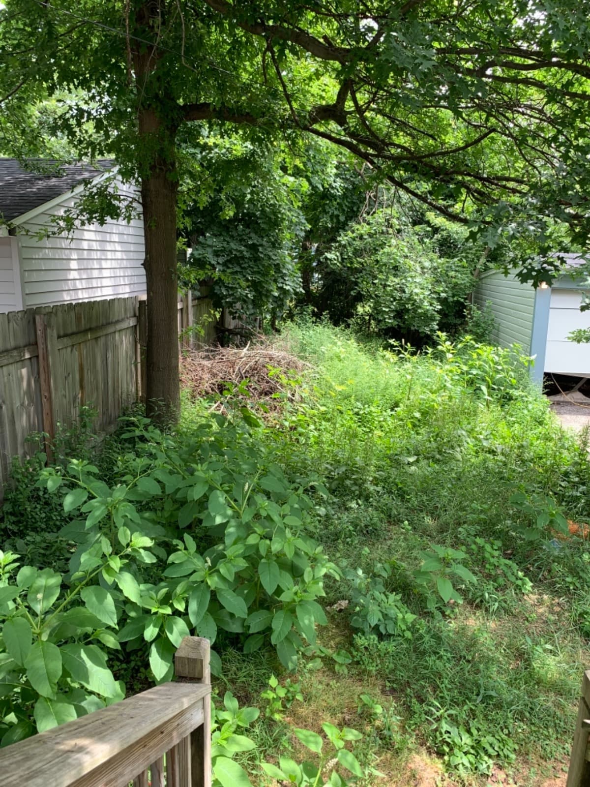 MyFirstHomeNeedsLawnLove