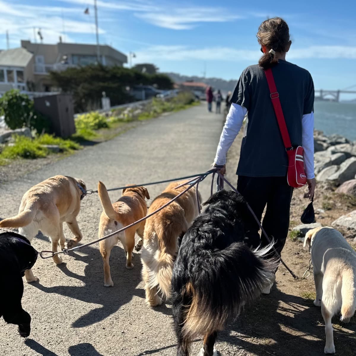 SupportAlisonsCancerJourney