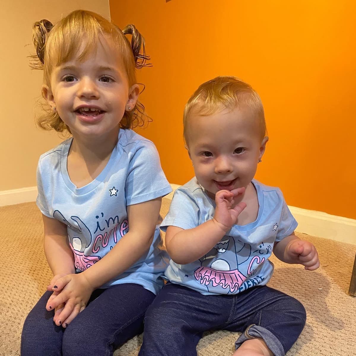 SingleMomInNeedWith2Babies
