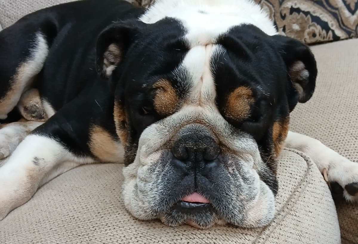 SingleMommaStruggling