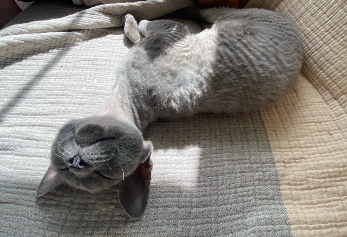 HelpOurLittleBabyMushroomOut