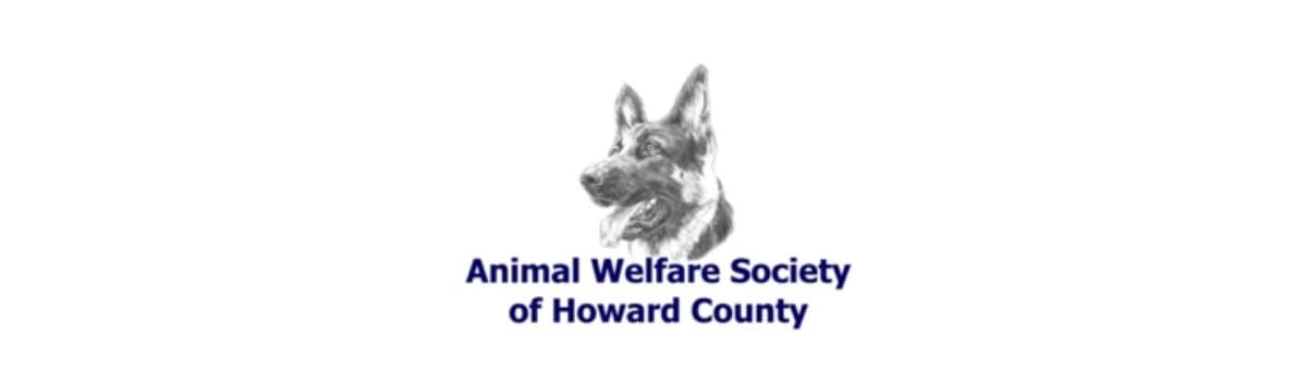 AnimalRescueRebuild
