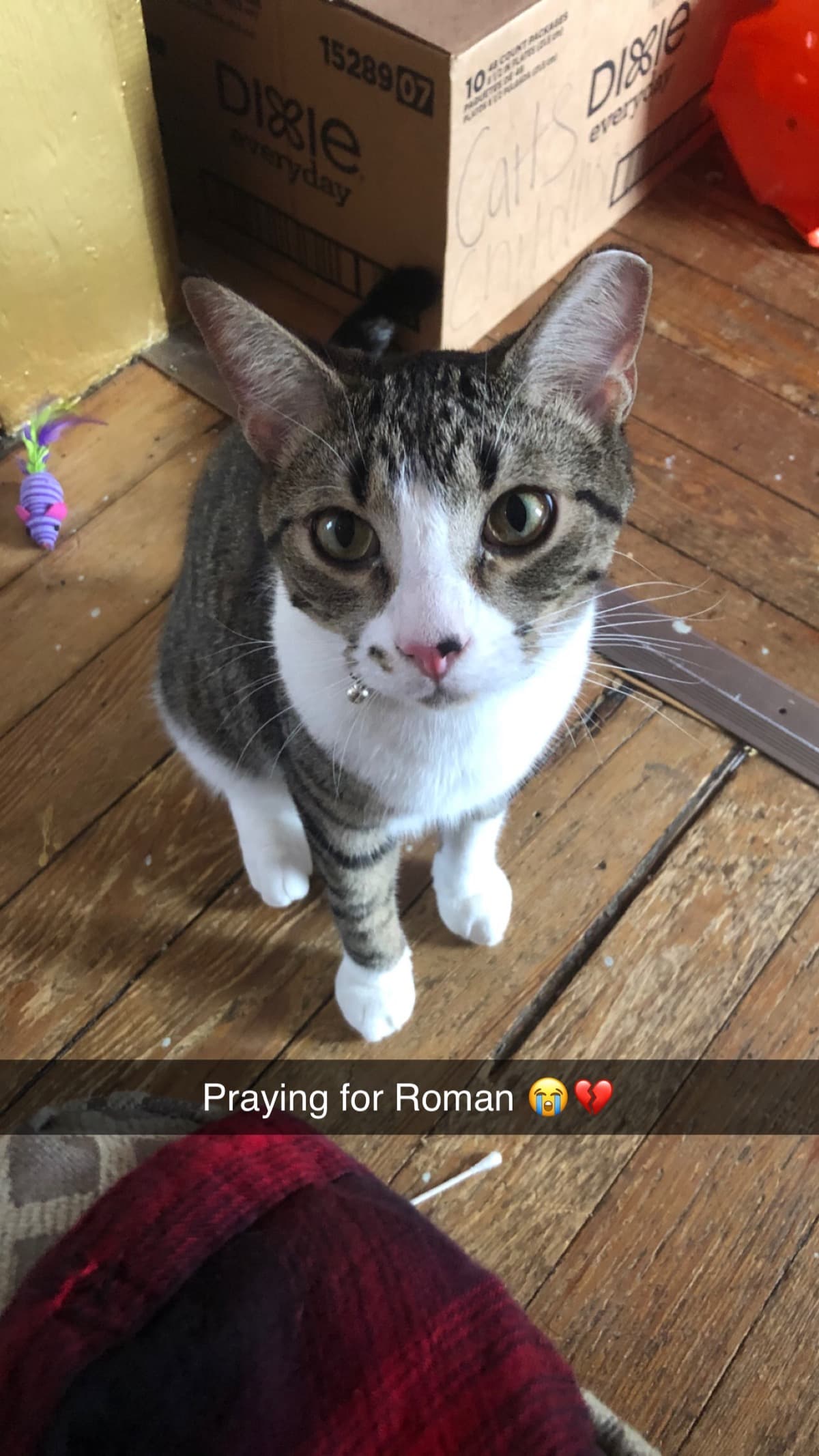 RomansEmergencySurgery