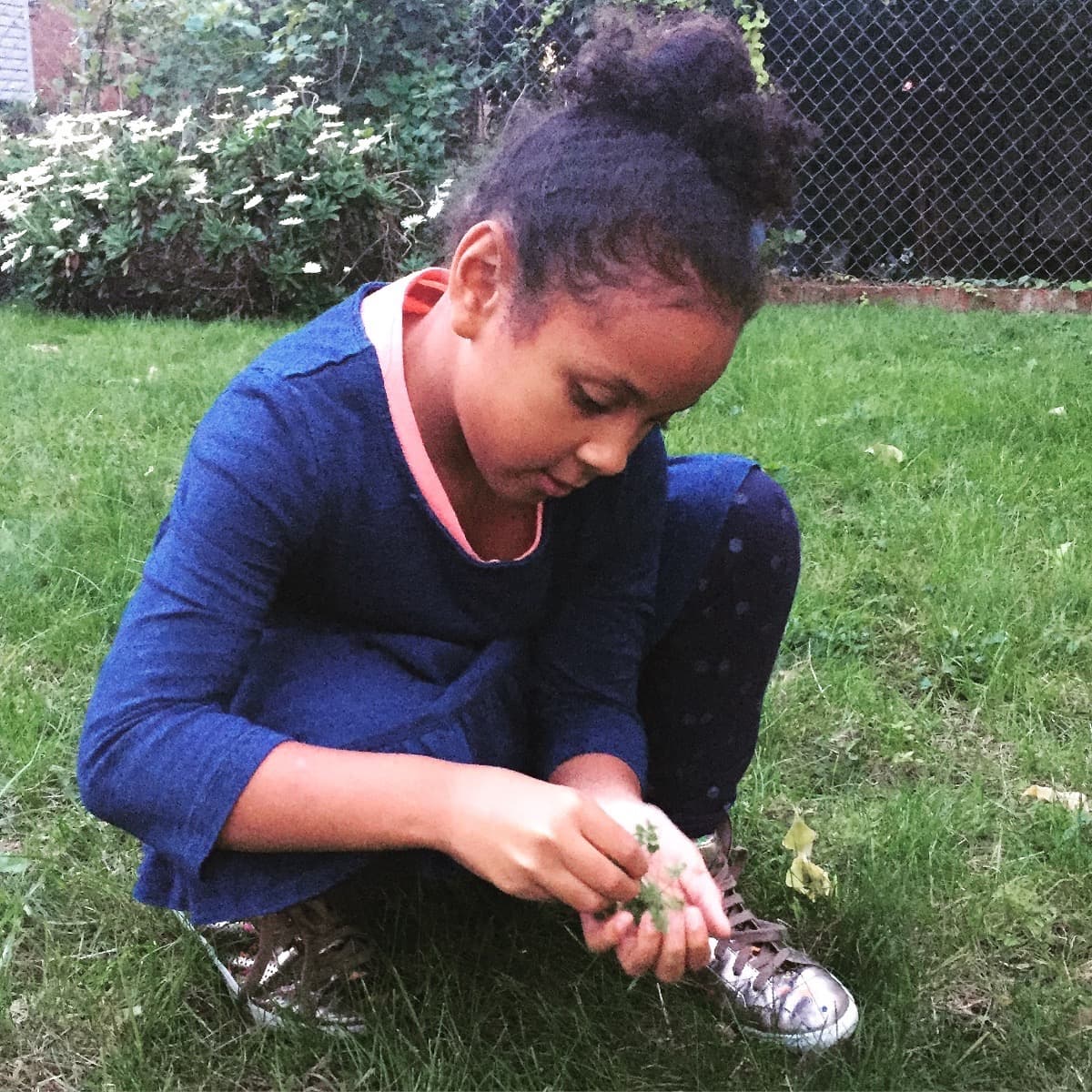 PlantingSeeds