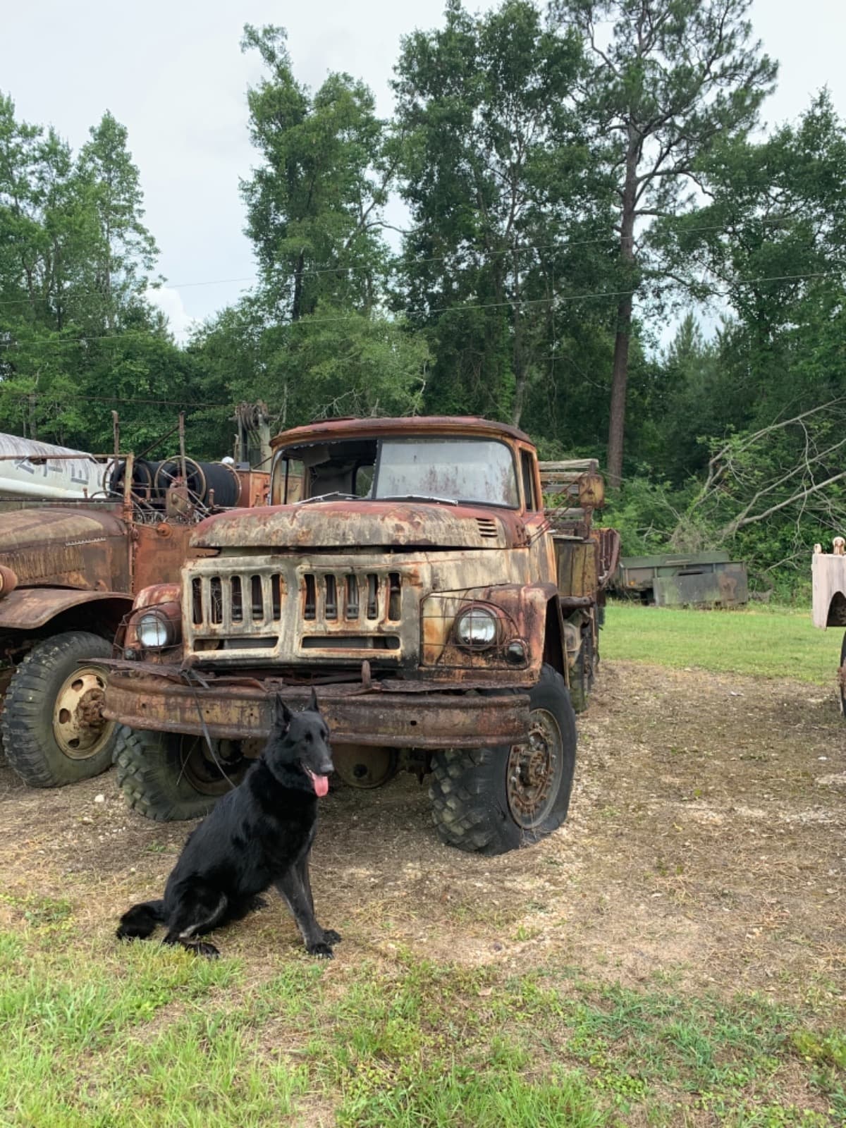 SaveTheZIL131