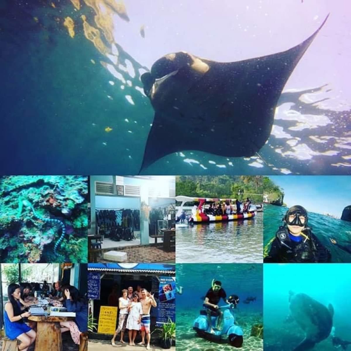 IndoDiversRestorationPlan