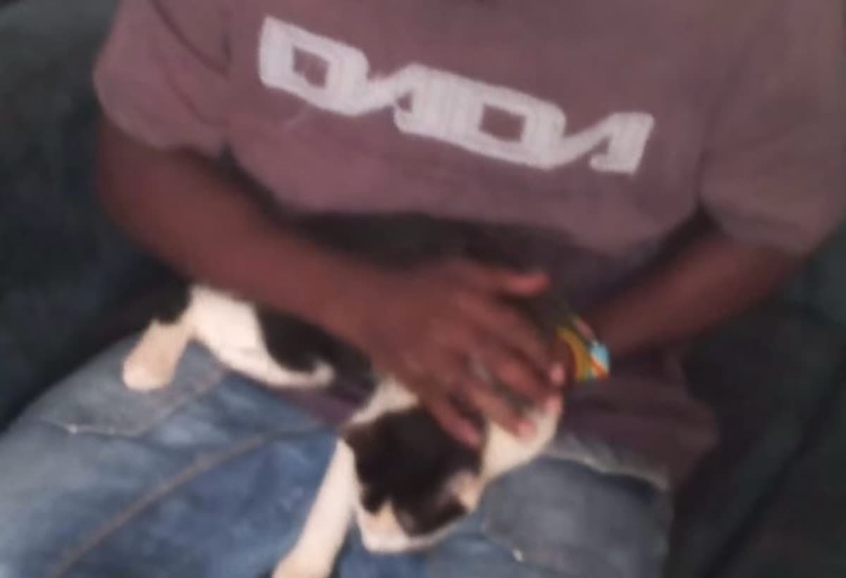 PleaseHelpKotharGetHisPapers