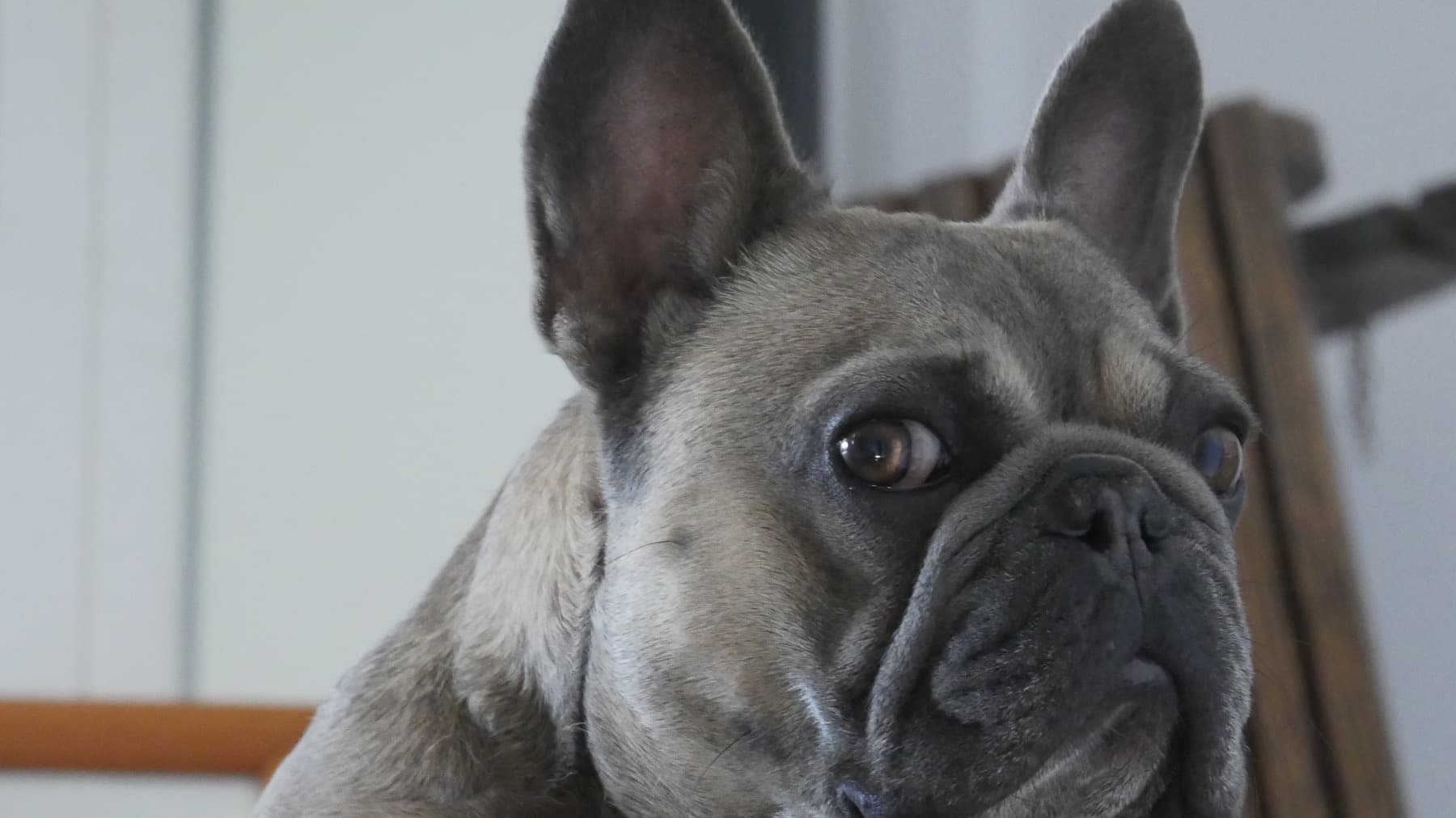 SkittlesCanBreathNow