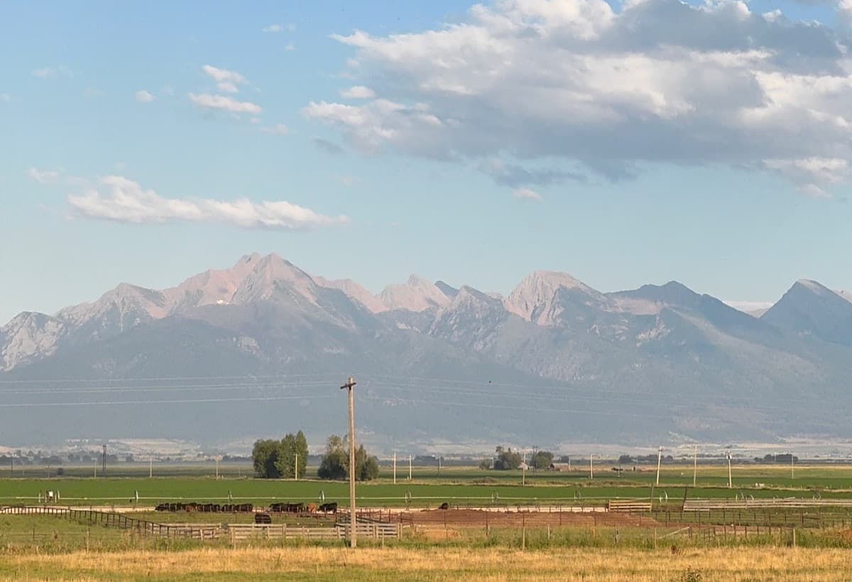 FromCancerToRecovery