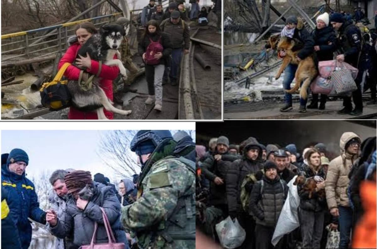 HelpAnimalsInUkraineKiev