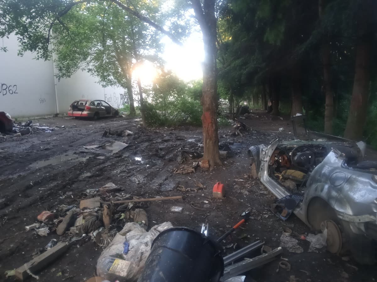 NeedHelpCleaningPortland