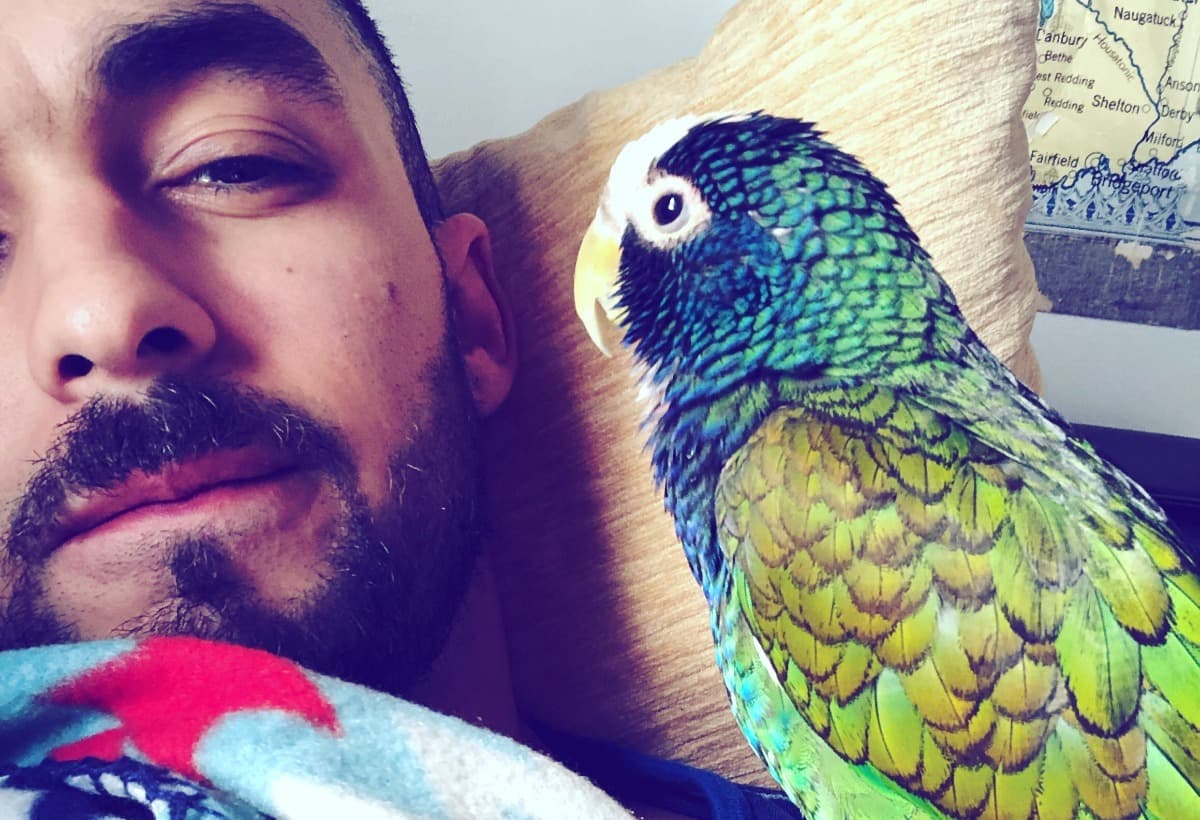 PLEASEHelpMeSaveMyEmmasLife