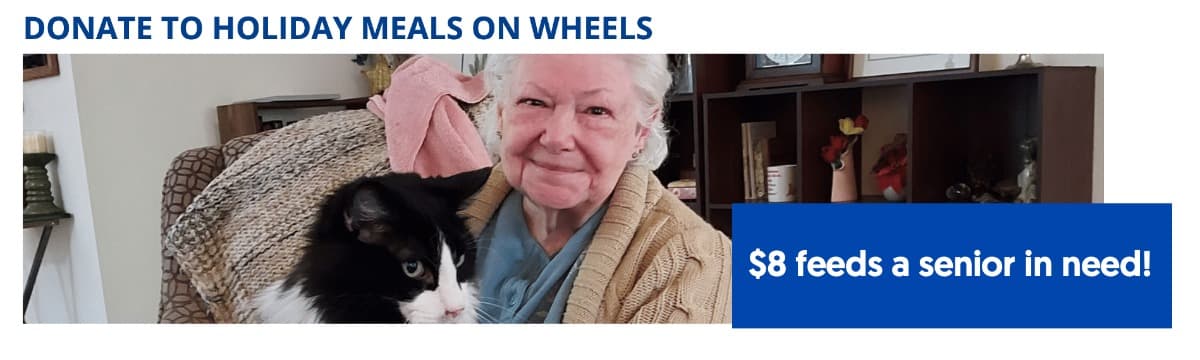 HolidayMealsForSeniors