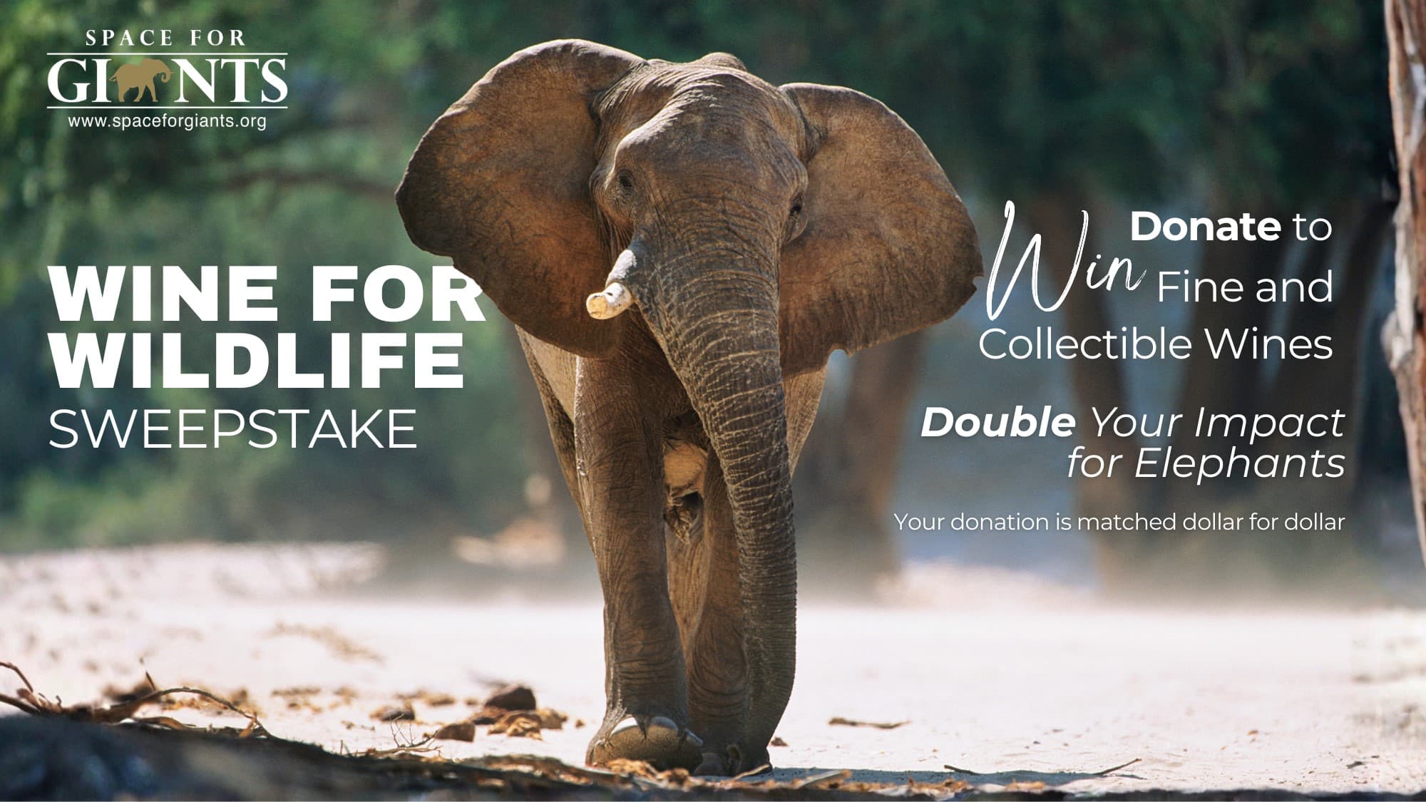 Wine For Wildlife Sweepstakes 2026