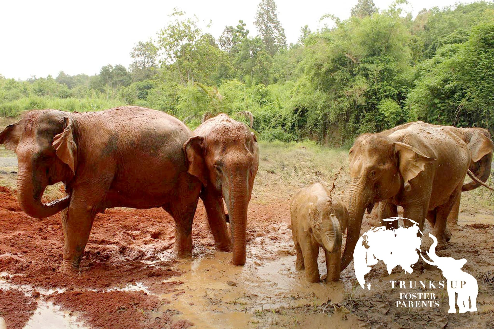 KarenElephantRetreat