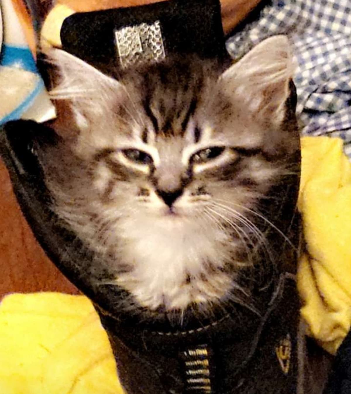 HelpMimiWithHerFracture