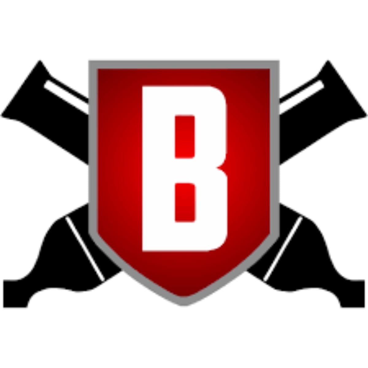 BattalionDrumCorpFees