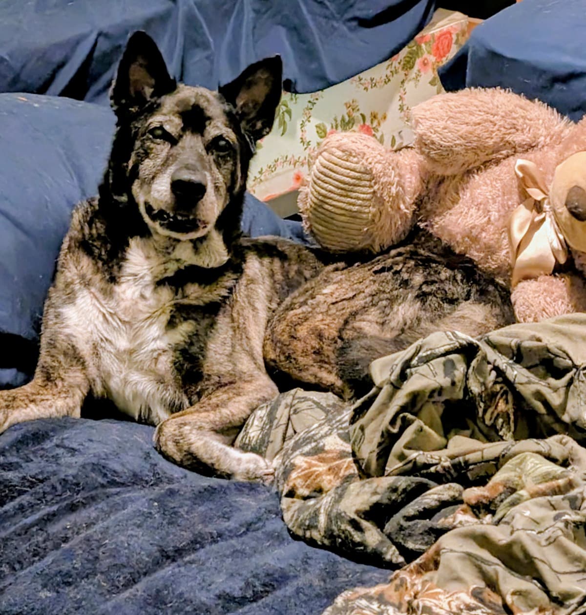HelpForMyBestFriend