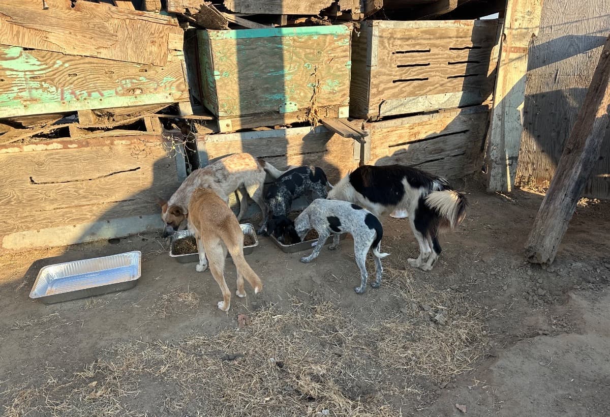 SaveALifeInKernCounty