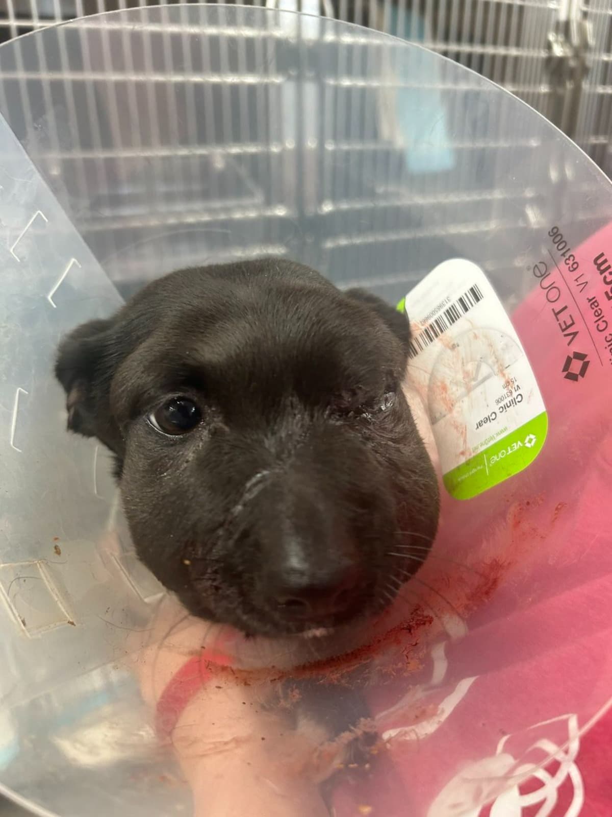 SupportJasonAndShelby