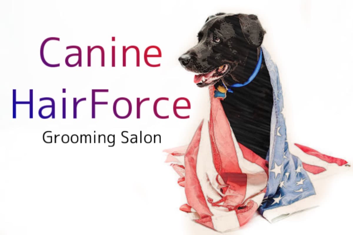 CanineHairforceStartup