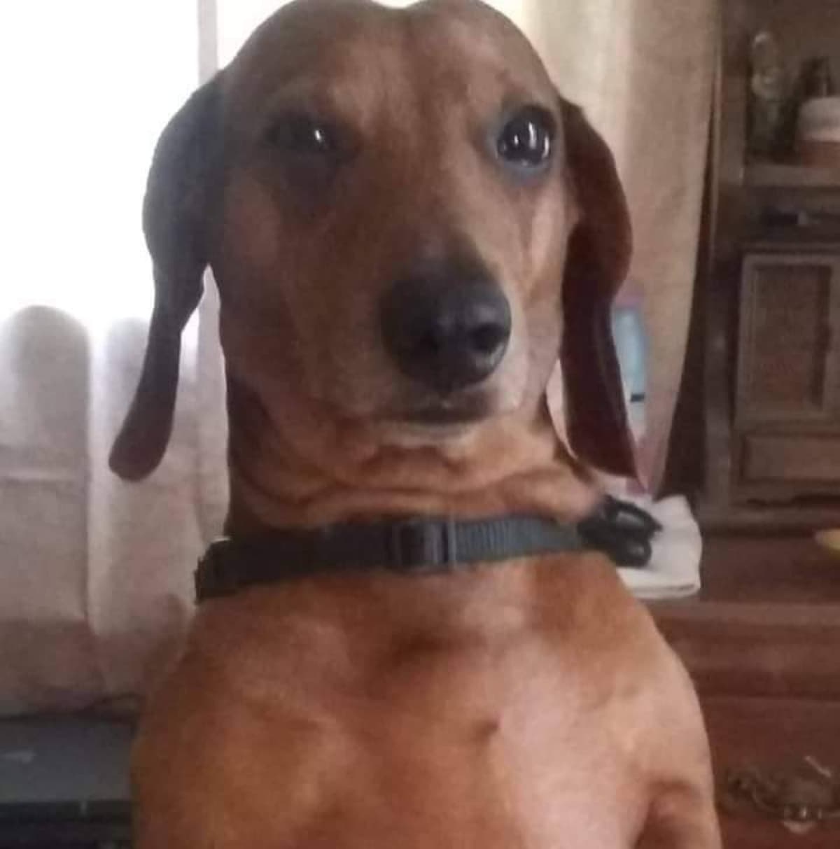 MyHeartHasLossUseOfHisLegs