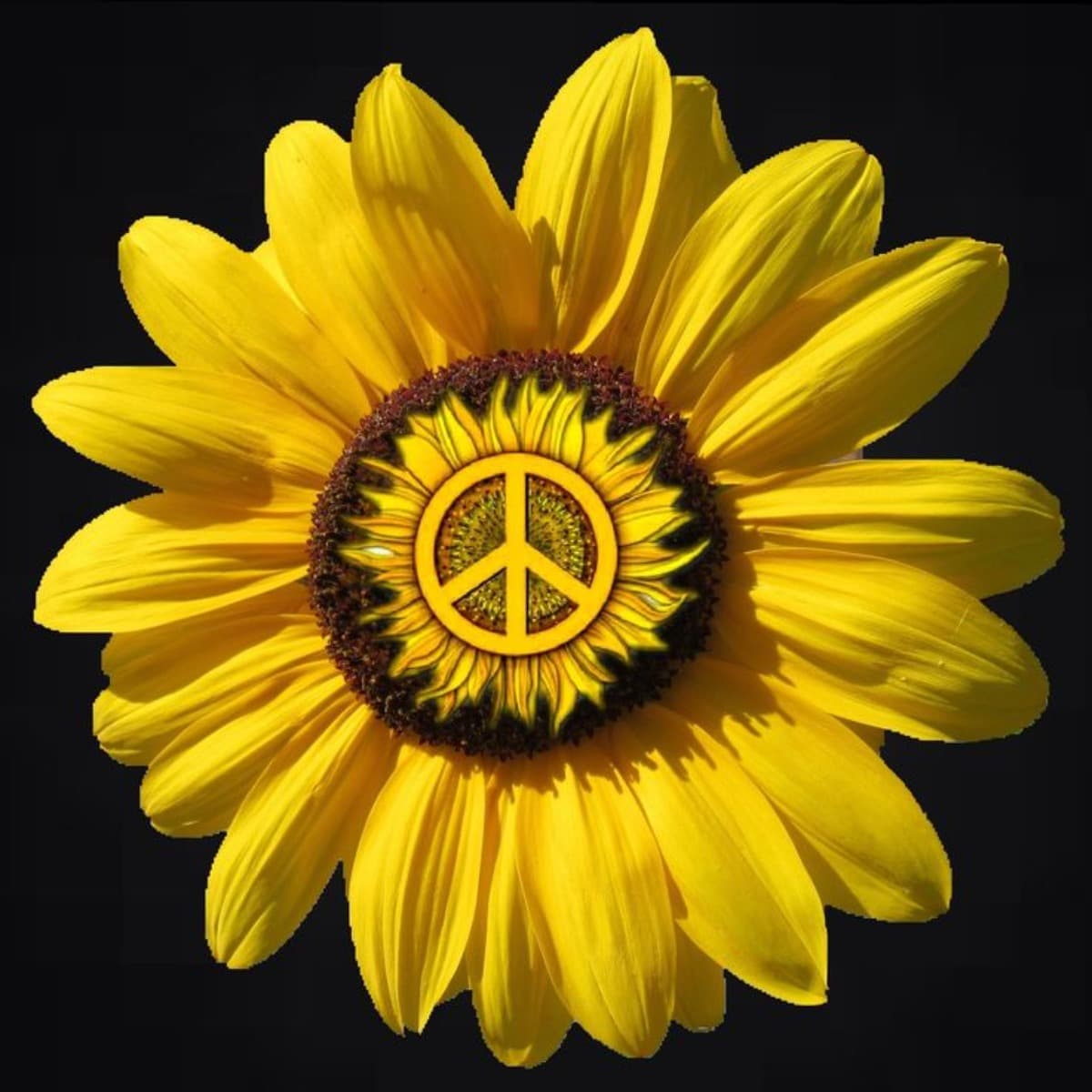 TheRDFactor2022Sunflowers