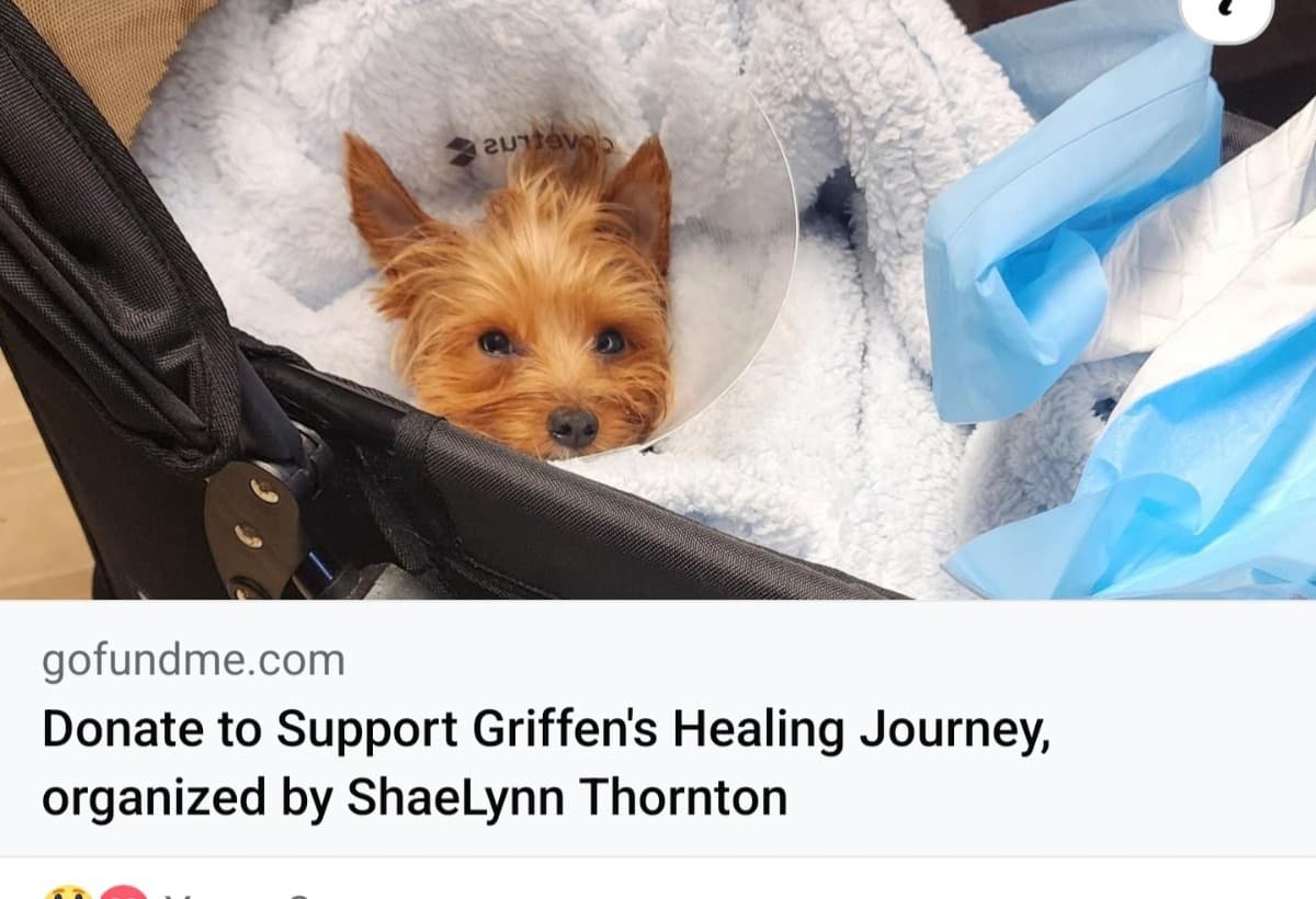 HelpSaveGriffensLife