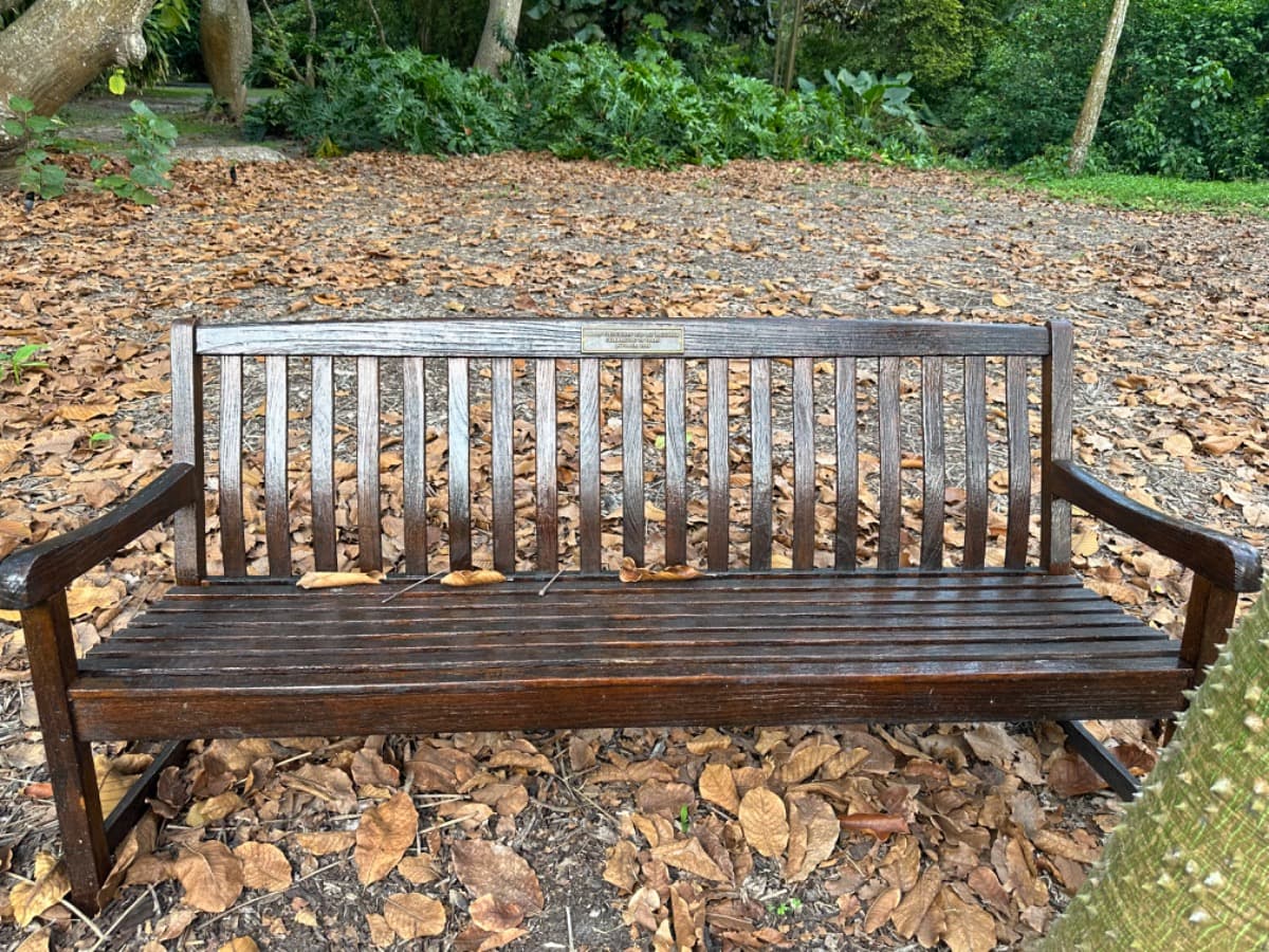 NancyAncrumBenchDedication