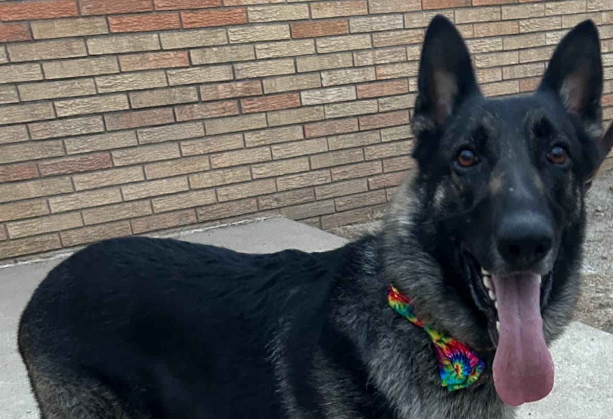 MauiFromRockBottomToRecovery