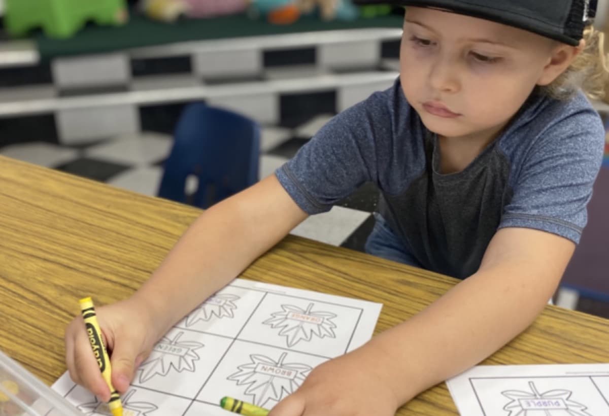 FreedomFirstSpecialNeedsHelp