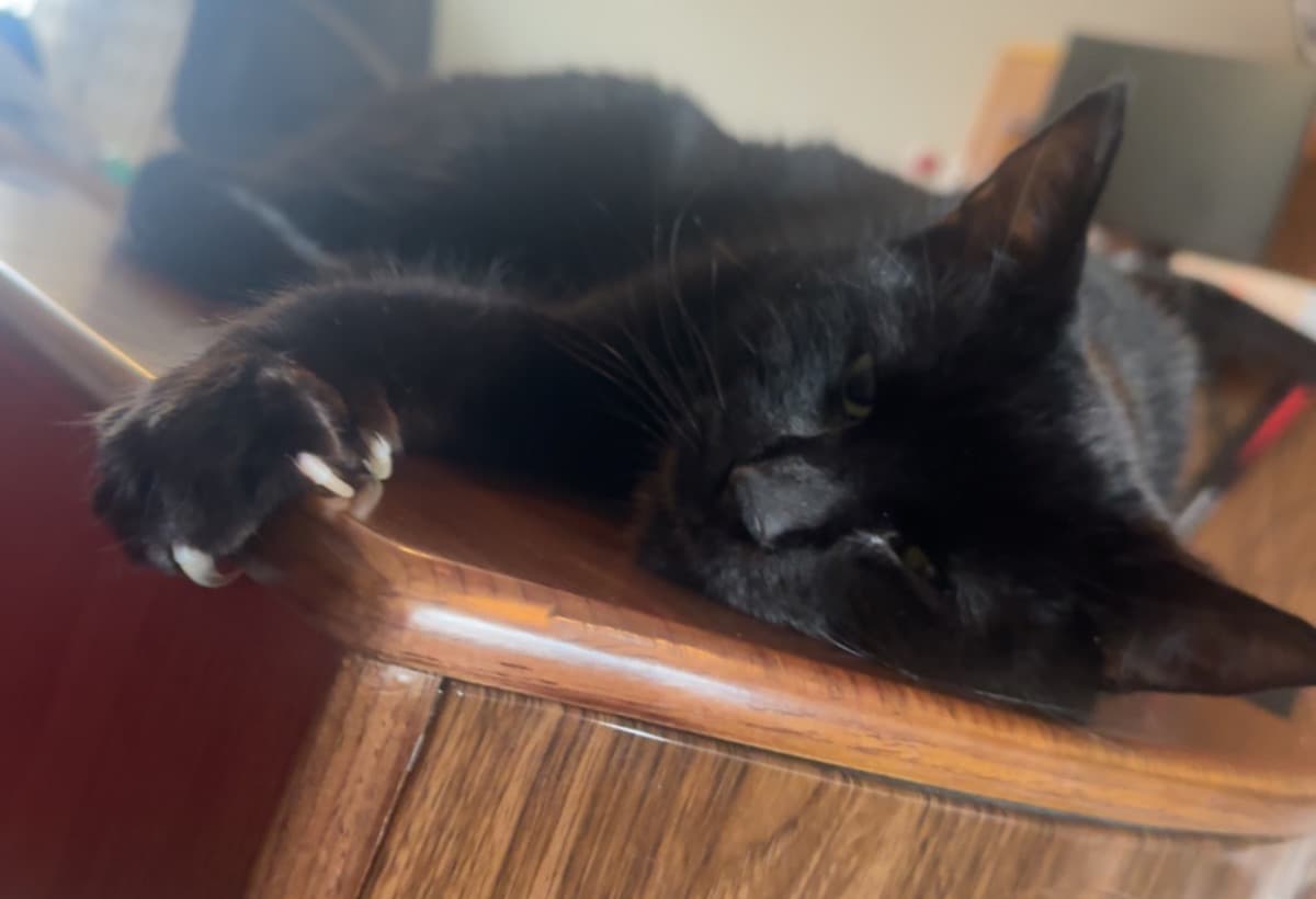 HelpYujiGetHisMedication