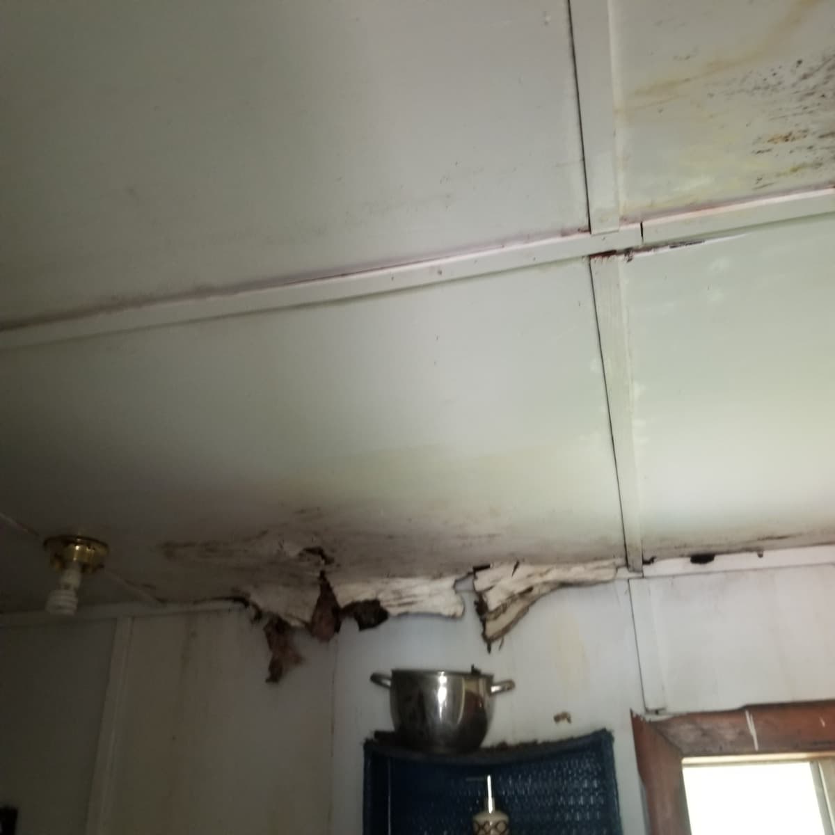 HelpPutARoofOnMyHouse