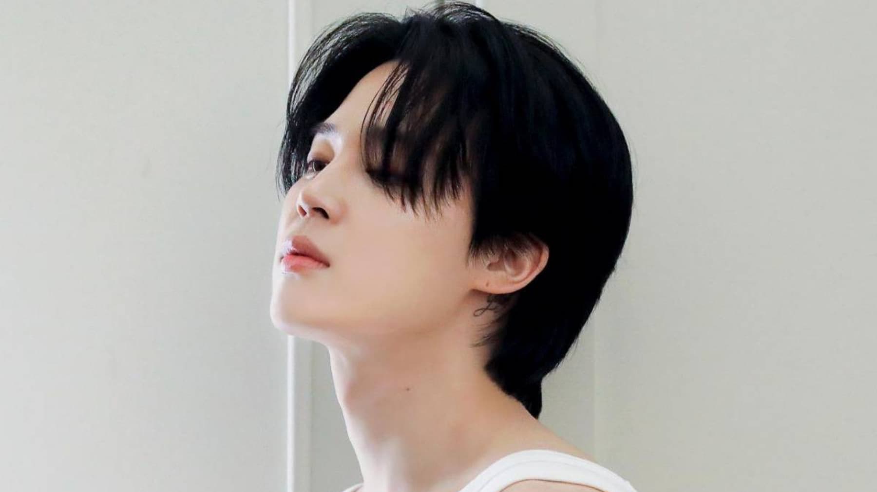 JIMINProjectSupport