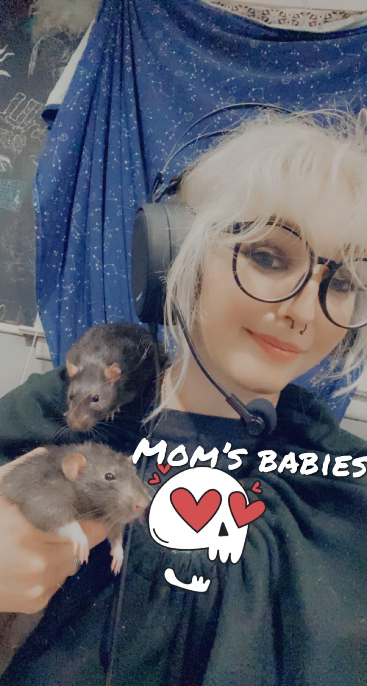 DexterAndRudyNeuteringFund