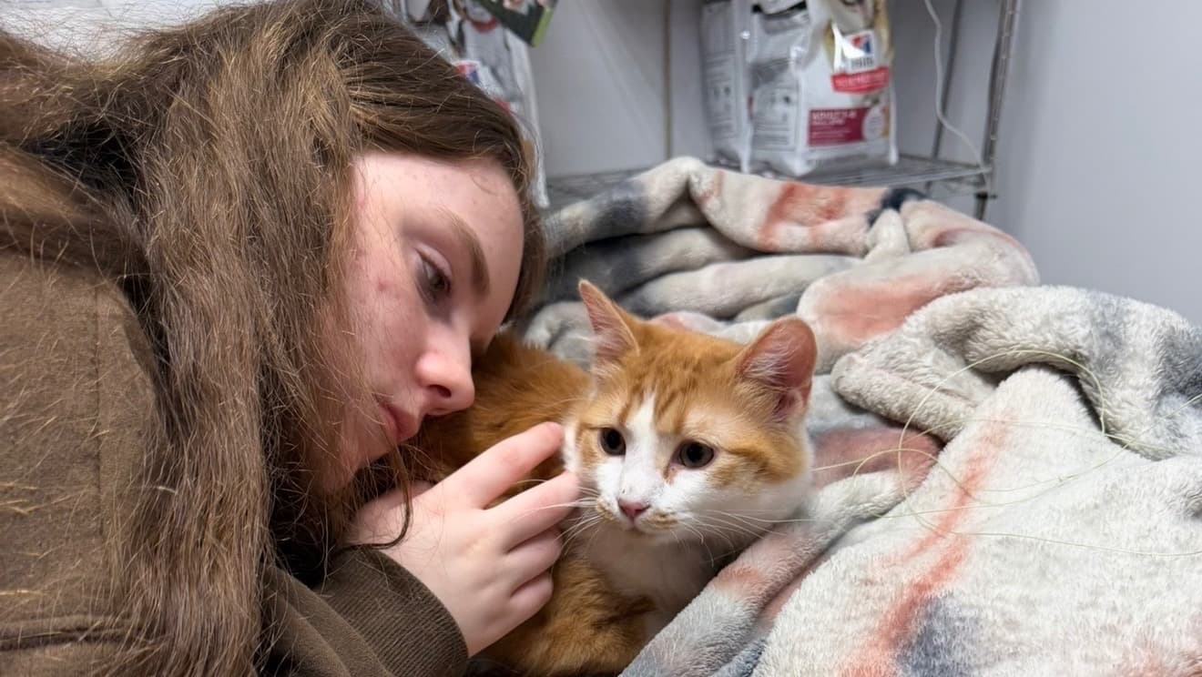 *SupportWinstonVetSurgeryCost - Fundraiser by Amy Hatton on *spotfund